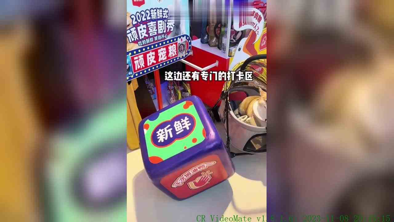 居然收到魔都首届人宠喜剧表演的邀请，赶紧的！带上顽皮的ad崽去看顽皮的喜剧秀咯