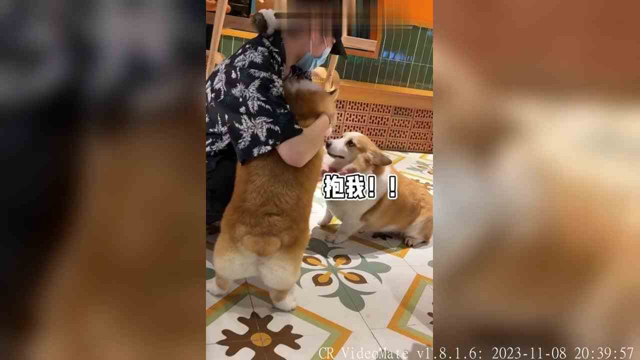 好像遇到对手了打不过打不过