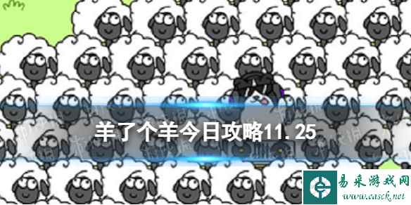 网1