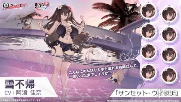 网6