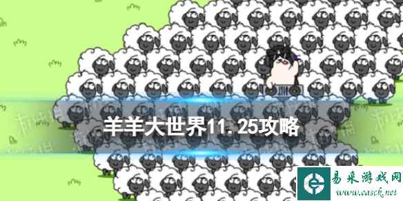 网1