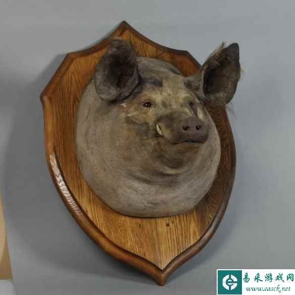 某国王多人运动的特制椅子！25个超奇葩的博物馆藏品