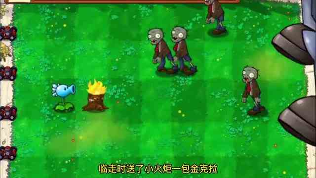 植物大战僵尸：火炬树桩的一生，集齐三色火焰，召唤火神！