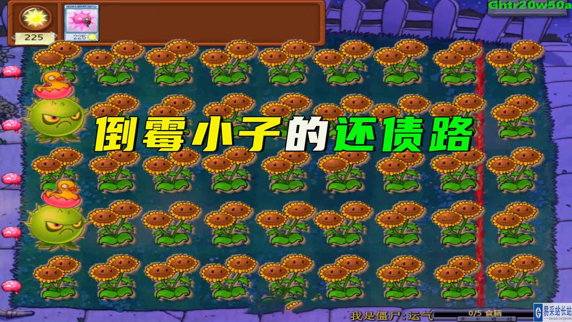 植物大战僵尸：陷入循环当中了，倒霉小子的还债之路