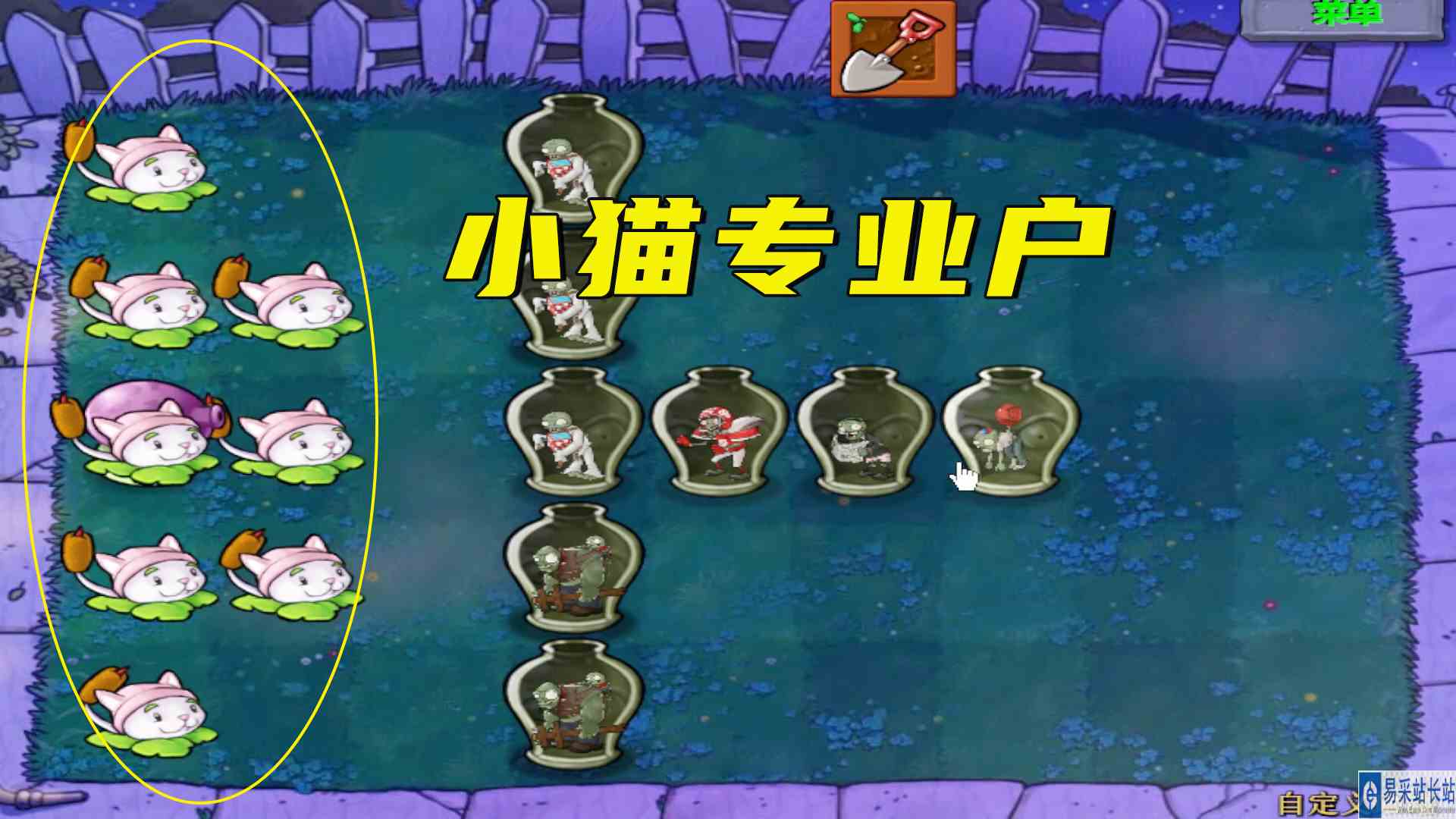 植物大战僵尸：小猫专业户，梭哈第一次来意外惊喜