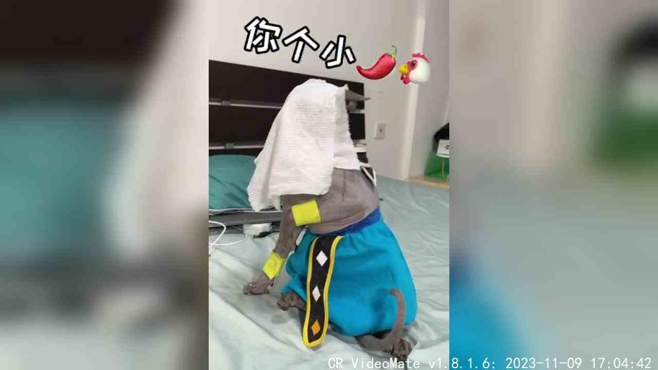 xdm我已经跑路去火星了！skr～skr