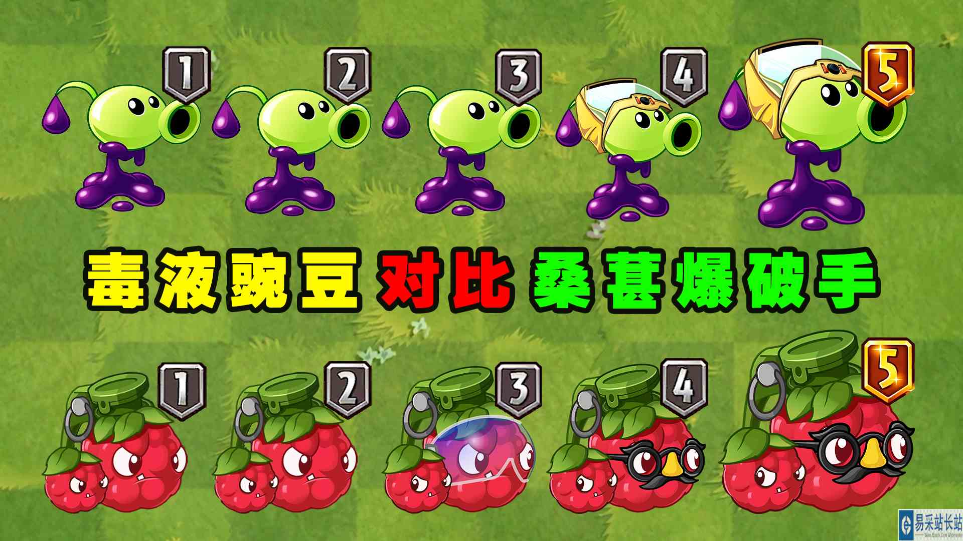 毒液豌豆和桑葚爆破手1\-5阶测评，谁才是用毒高手？