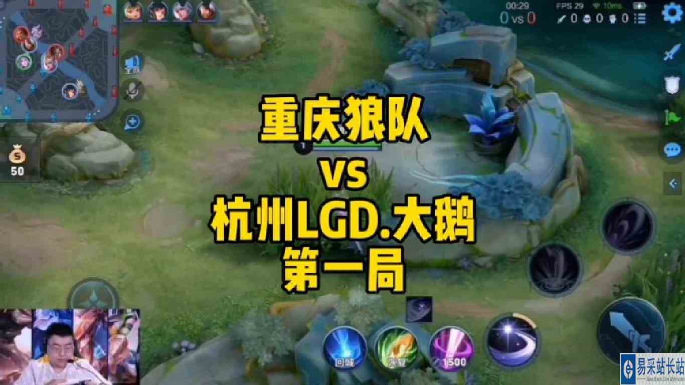 重庆狼队对战杭州LGD.大鹅。第一视角看小胖露娜各种天秀操作