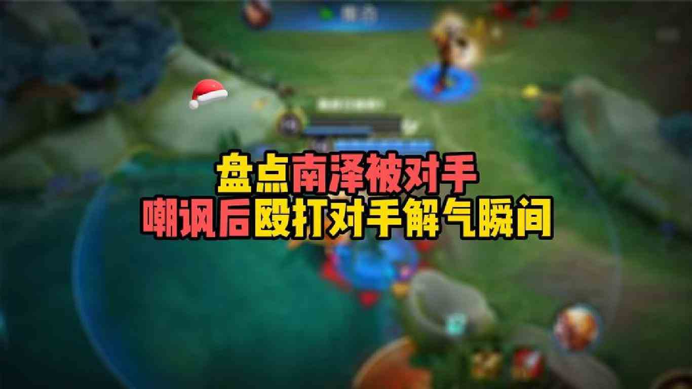 盘点南泽被对手嘲讽后殴打对手解气瞬间