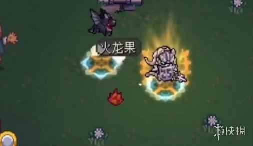 网2