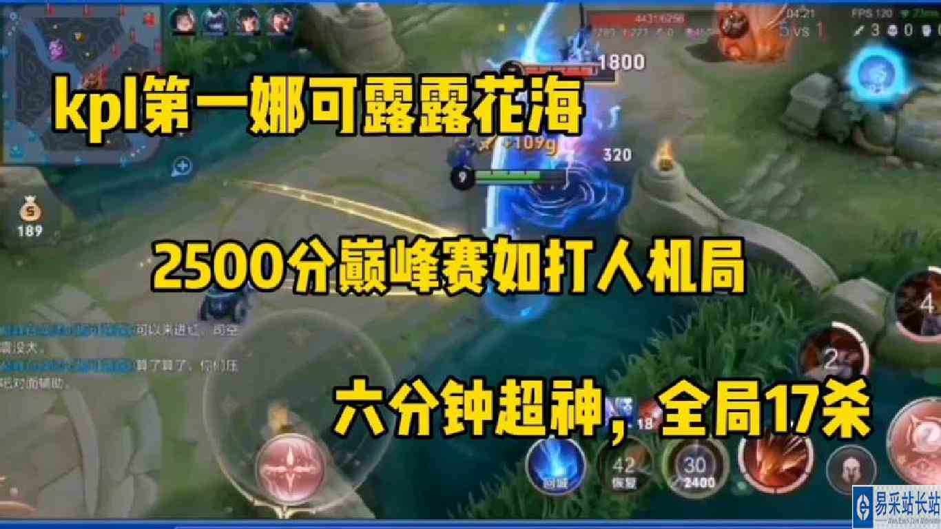 花海2500分巅峰赛如打人机，全局17杀，这就是kpl第一娜可露露吗