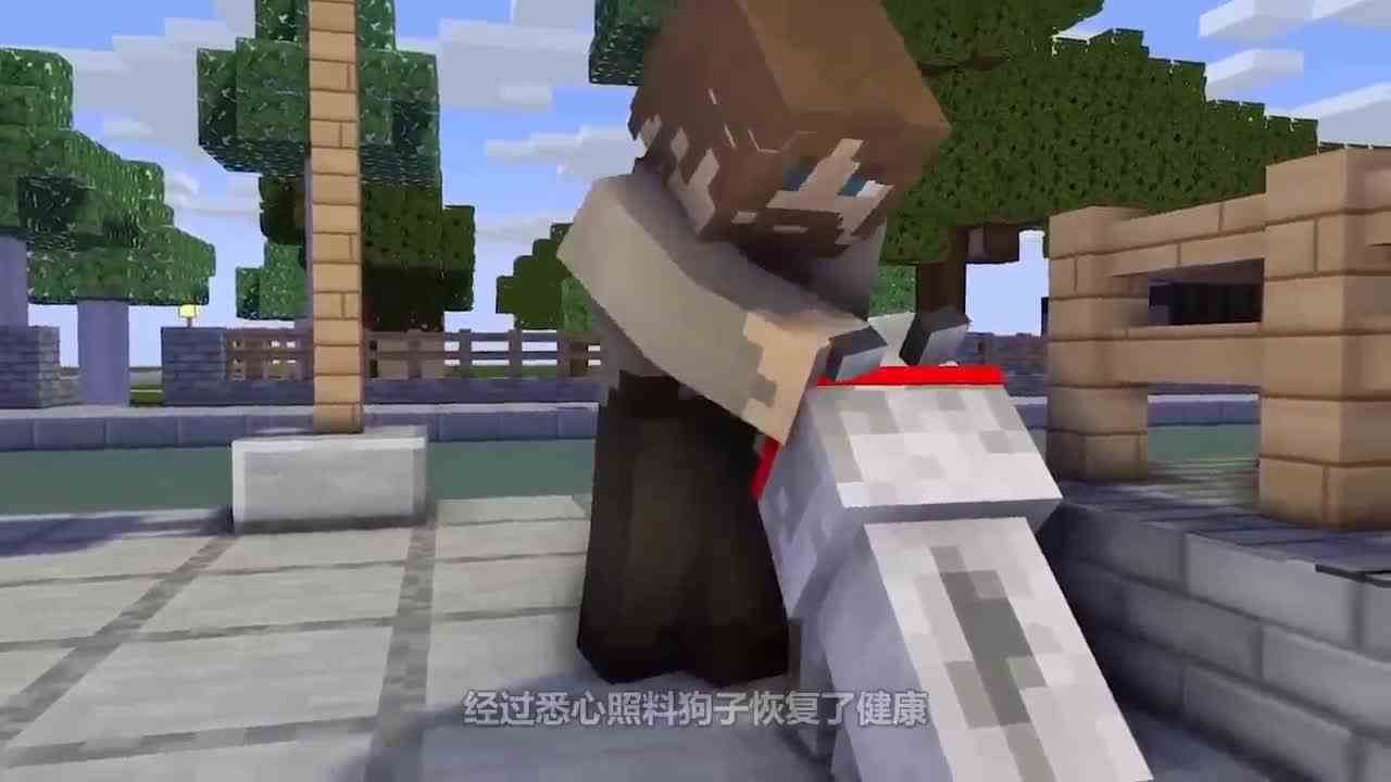 我的世界：牧羊犬流浪记，饥肠辘辘饱受折磨！最后会有人收养它？