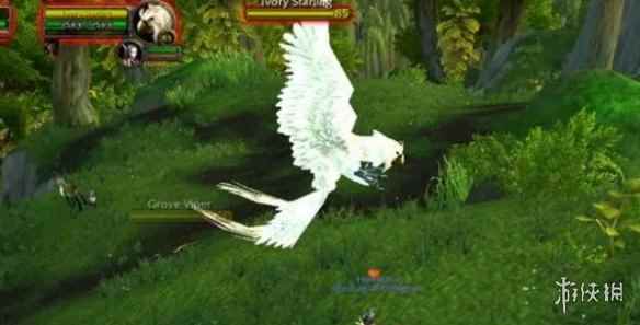 《魔兽世界》乌龟服白头鹰获得方法