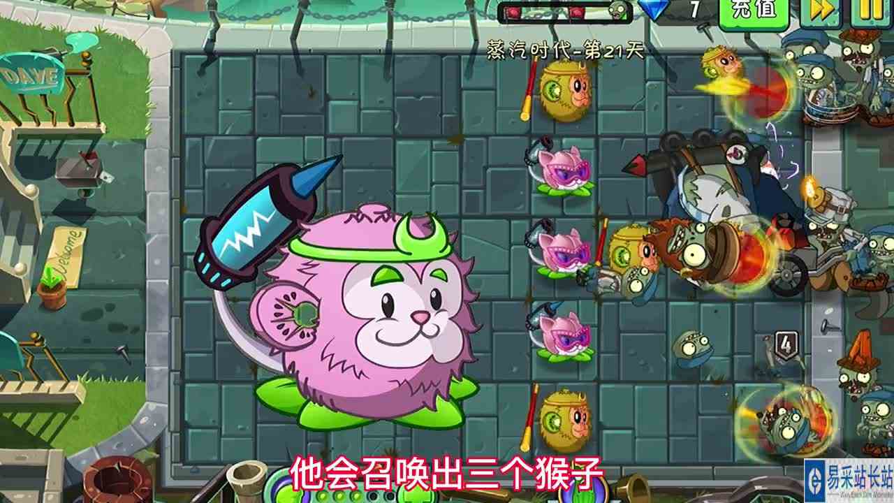 新植物试玩：猴尾草！