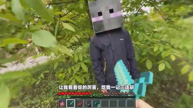 我的世界：真实版MC生存，我遇到了Him！