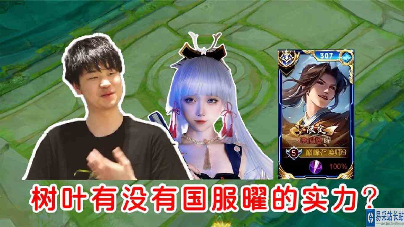 树叶冲击国服曜！这就是叶宝的真正实力吗？