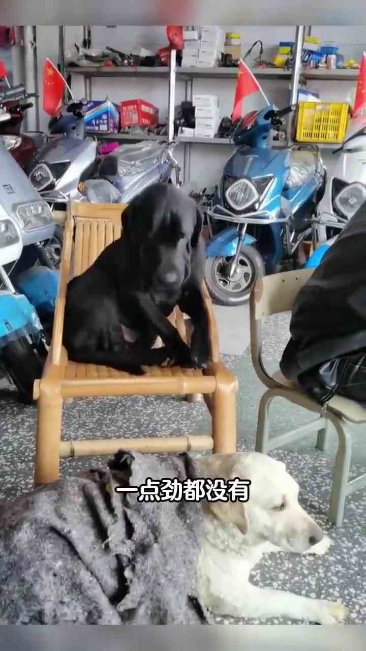 我一般不讹粉丝ok