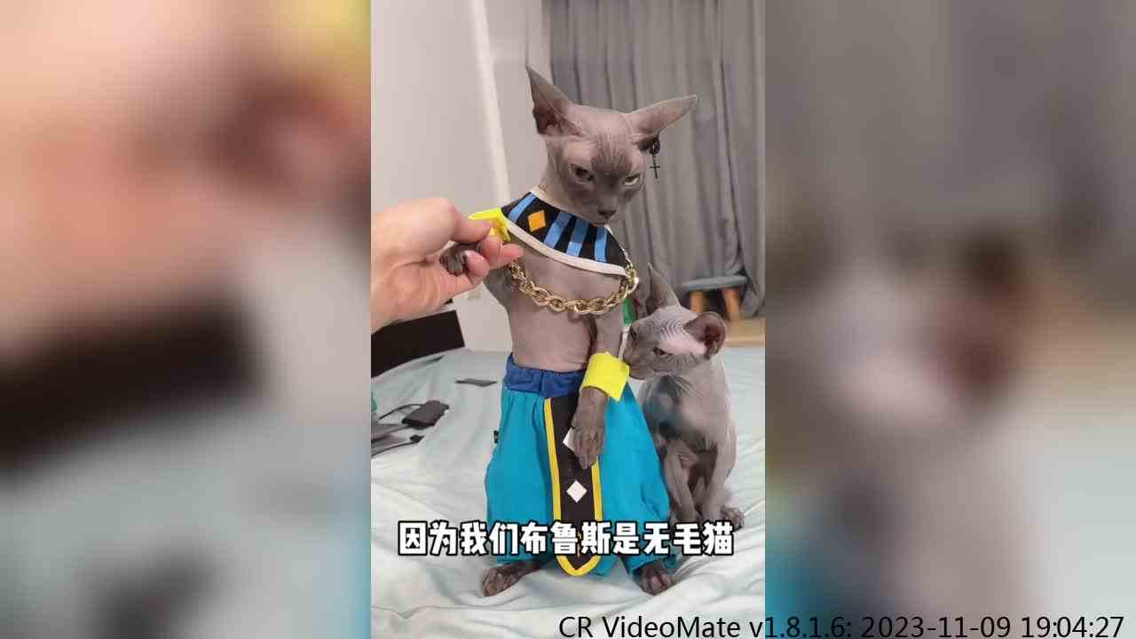 嘿嘿嘿 刚开始是不是以为是个悲惨的故事