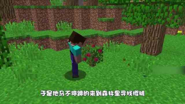 我的世界：钻石洞里到底有啥？能让阿呆一夜暴富？