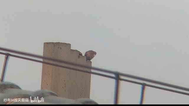 发现远方有两个球体1