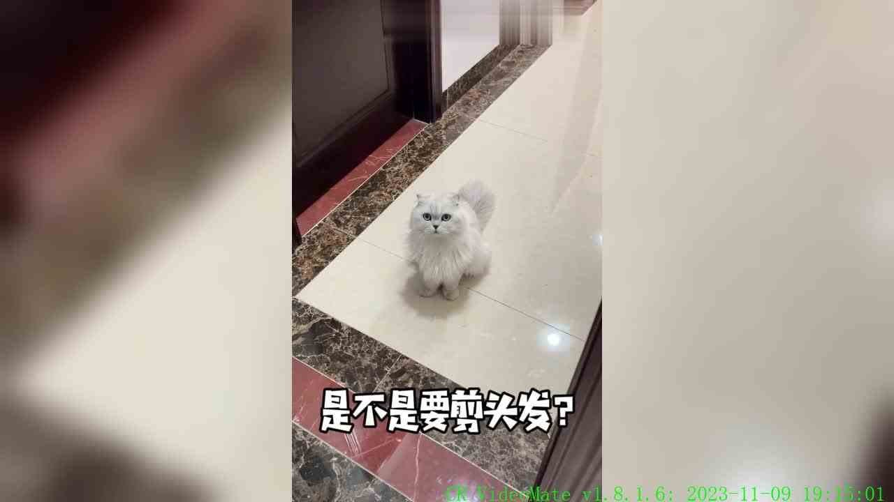 奥斯卡：我感觉我进了黑店~