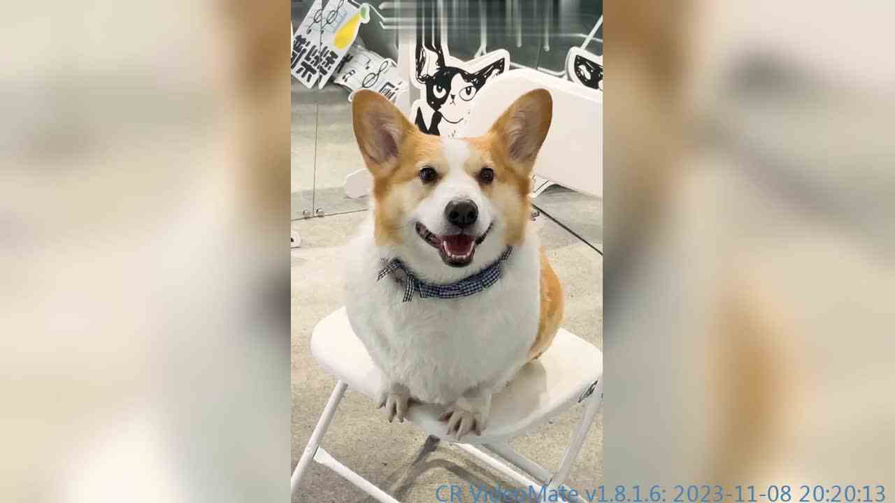 我也摊牌了，ad根本不是真的胖，都是我p的