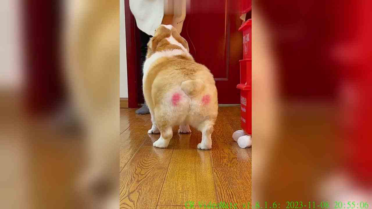 天冷了有没有小姐姐可以给ad贴贴，可以给你扭屁屁