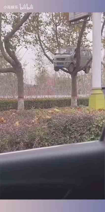 我的飞机永远飞的最高！能把汽车开树上也是一种技术！