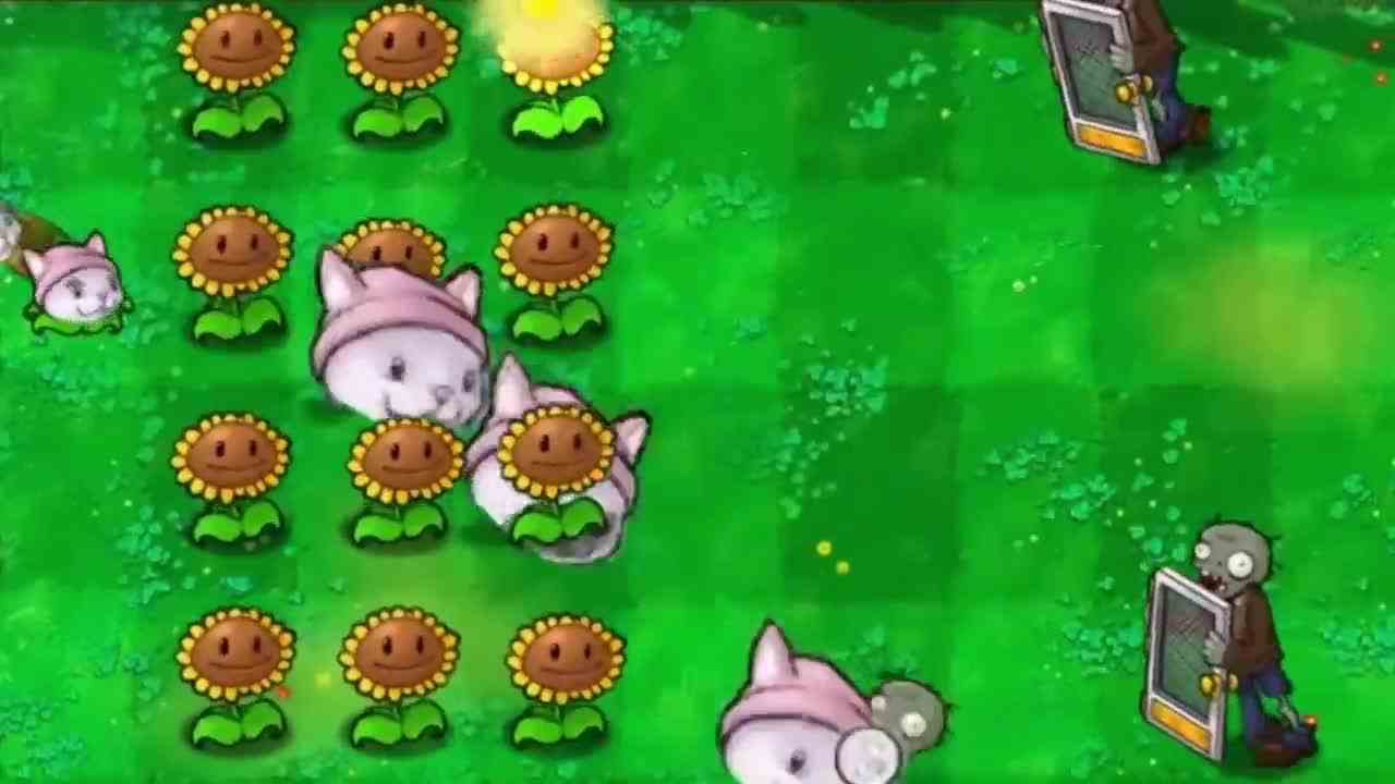 植物大战僵尸：猫尾香蒲的一生，传承玉米加农炮的绝技！