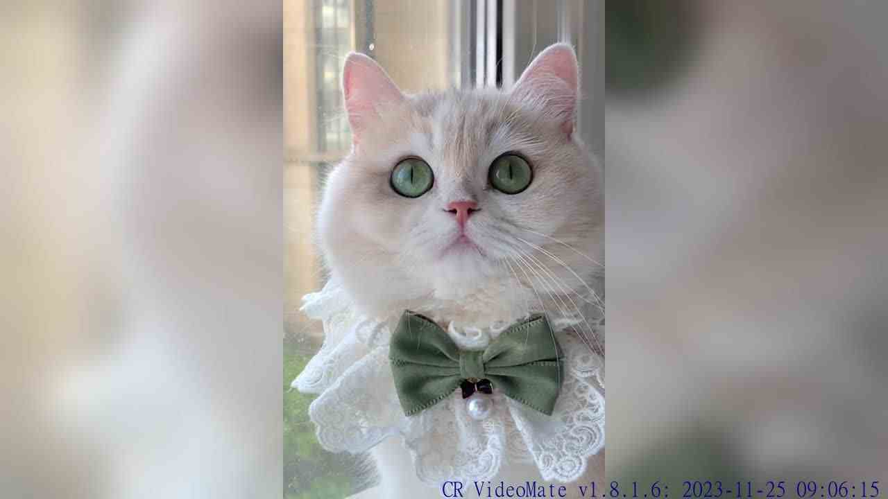 今天薄荷表情管理在线 回复 cold day in july的评论