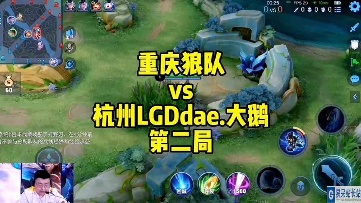 重庆狼队对战杭州LGD.大鹅，狼队小胖宫本武藏第一视角，精彩绝伦
