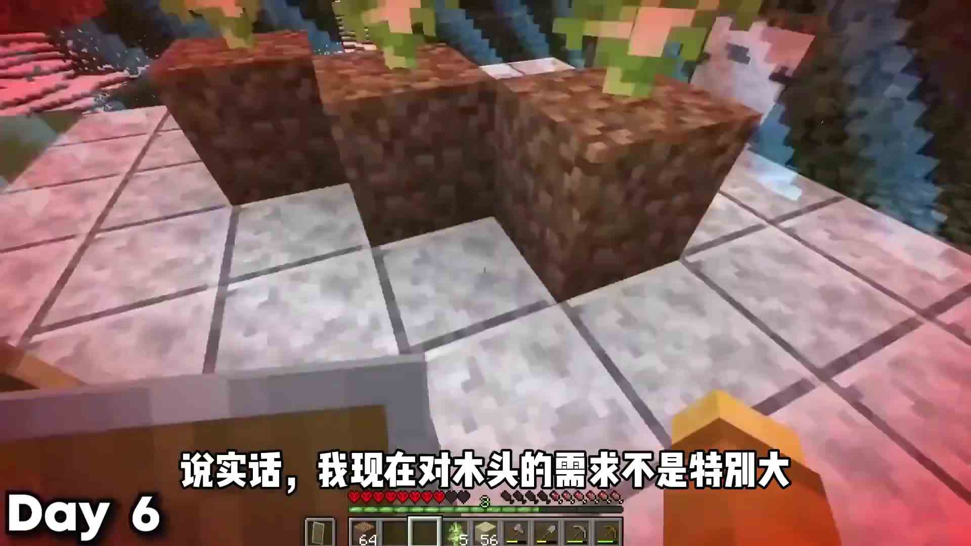 我的世界被困在边界中，该如何挑战生存100天呢？