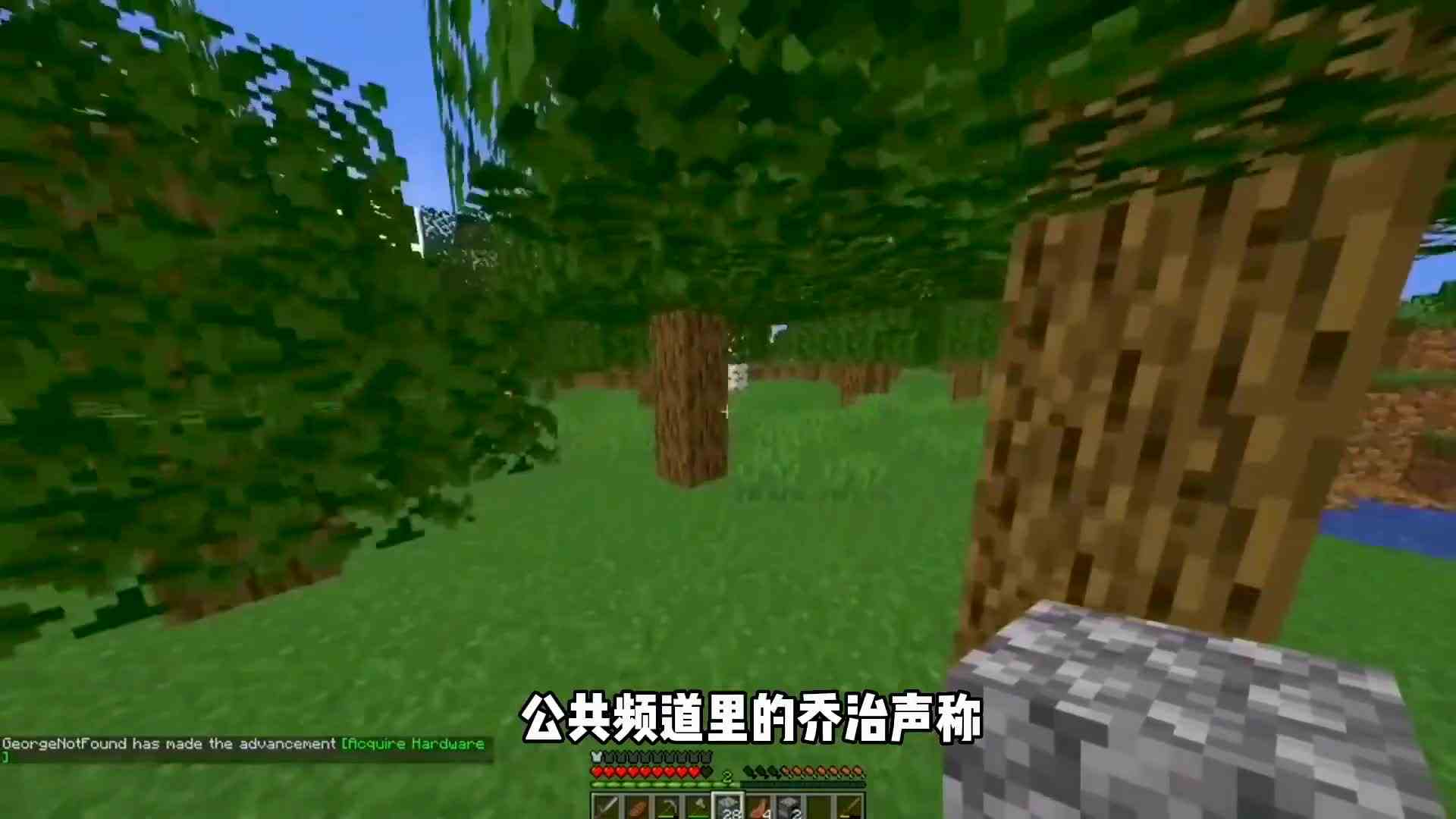 猎人游戏乔治初战dream!