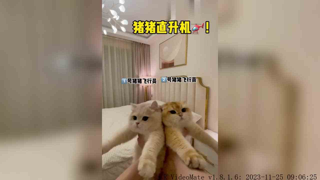 今天小飞机又添加了一位不高兴飞行员！大家跟上！