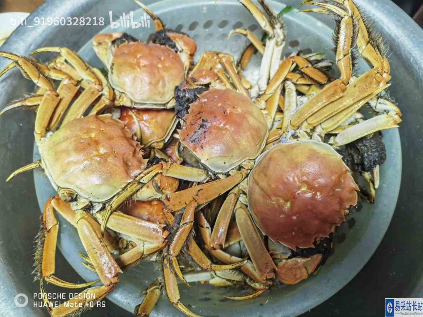 最新视频来袭，快来看看吧！