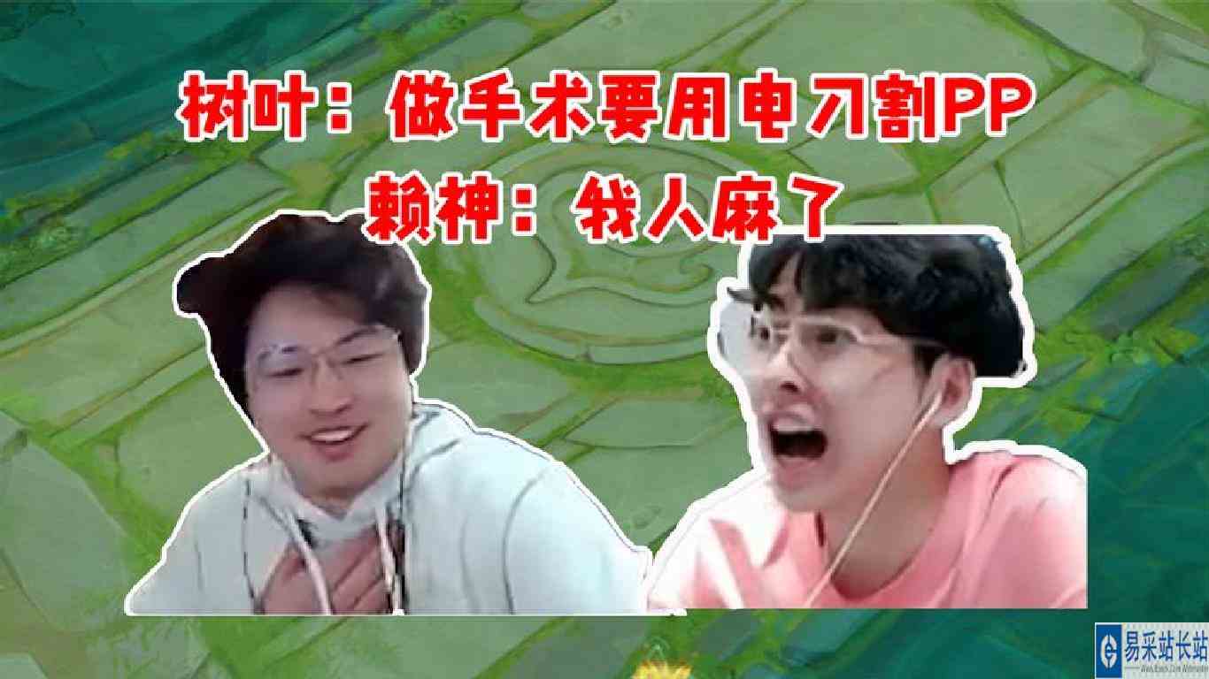 树叶：做手术会用电刀把你的PP烫熟 赖神：我人麻了！