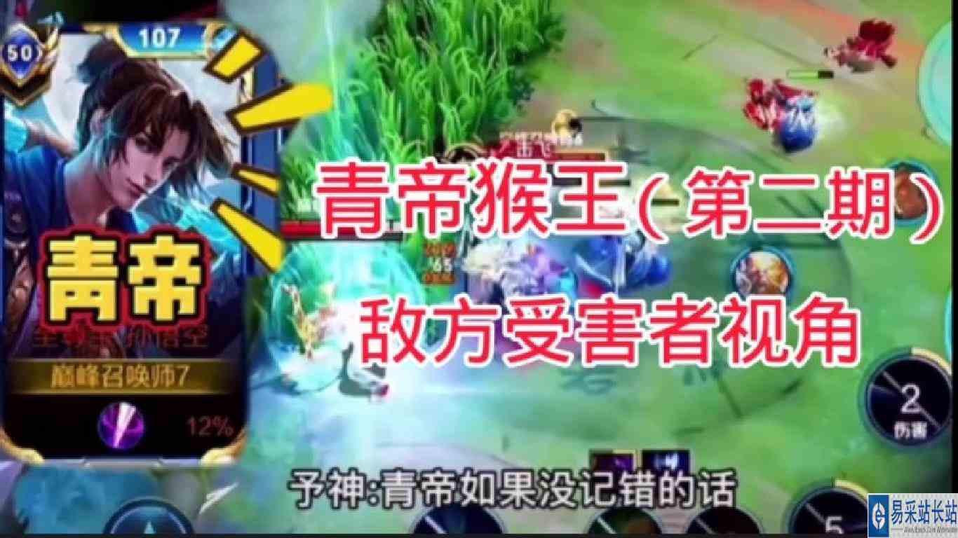 从敌方受害者视角感受青帝的暴力，青帝撞车各大主播和职业视角