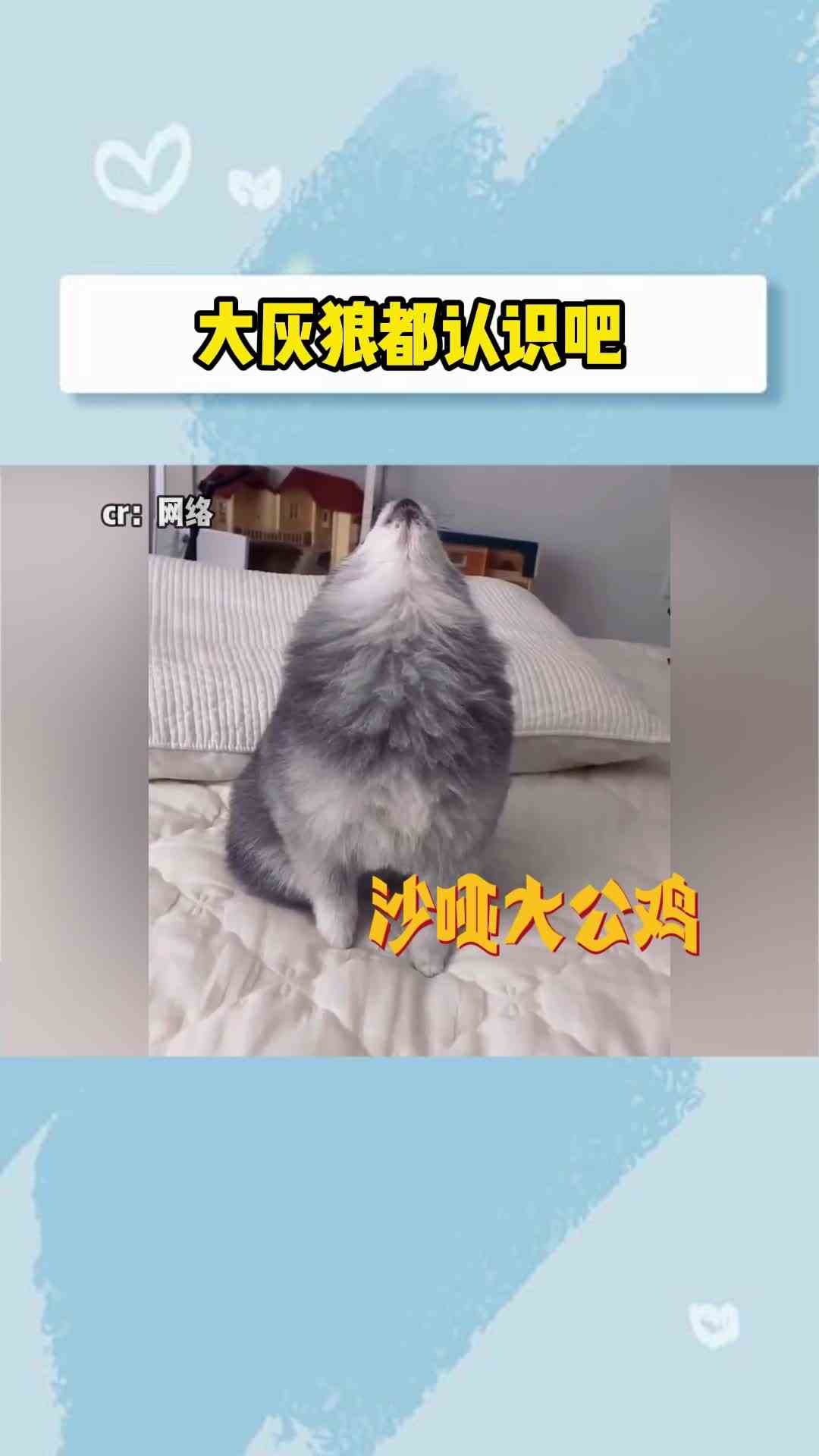 宝宝是不是在喊宝娟啊~