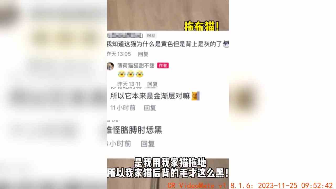 我真的无语死啦！澄清一下我们是蓝金！不是白猫