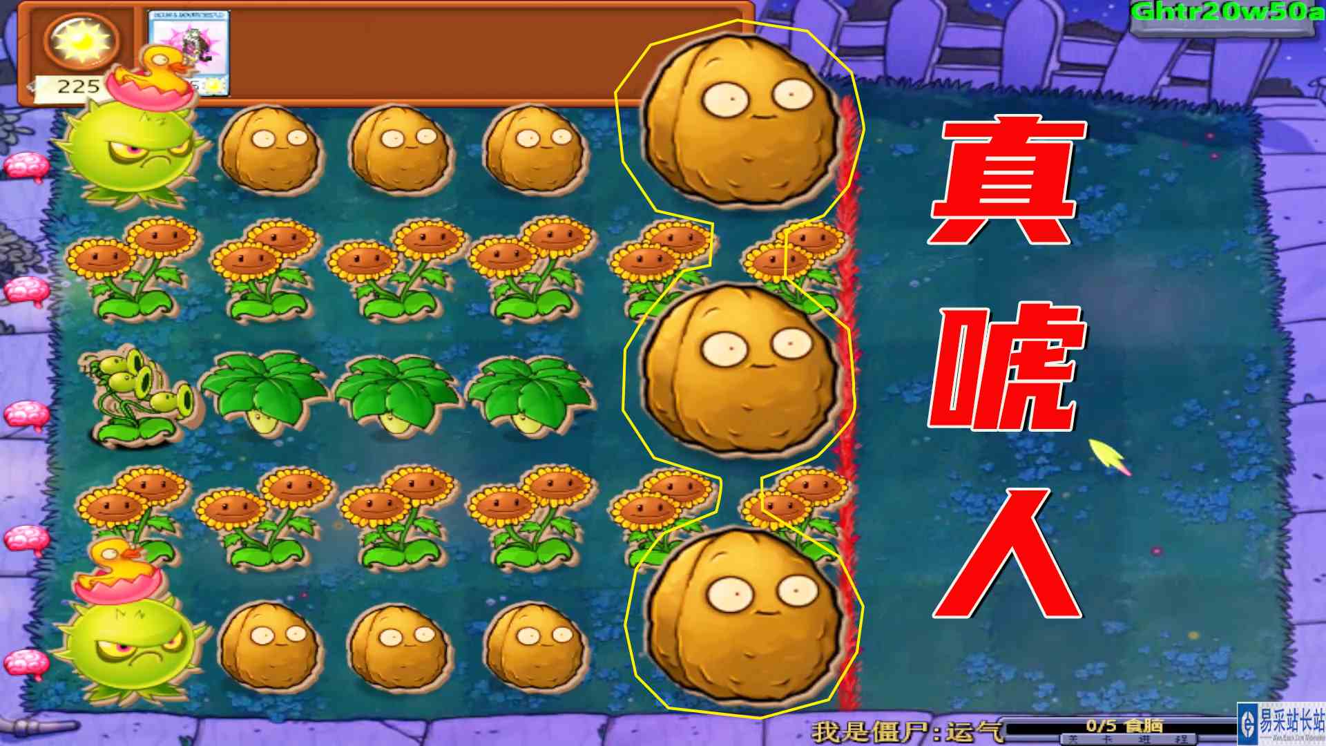 植物大战僵尸：三大坨坚果看着是真唬人，梭哈输得彻底