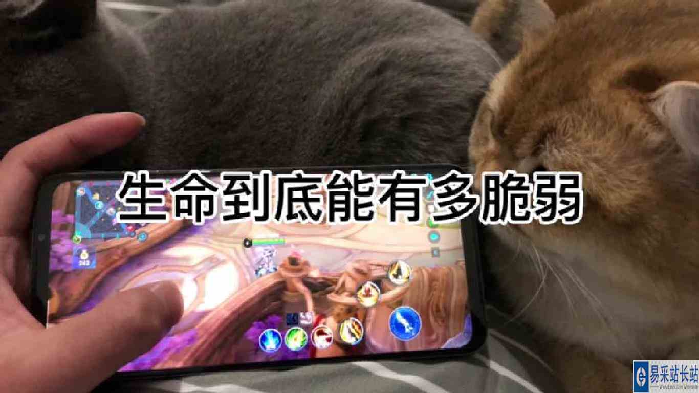 我真的不想把这件事情发出来，但又想了一下