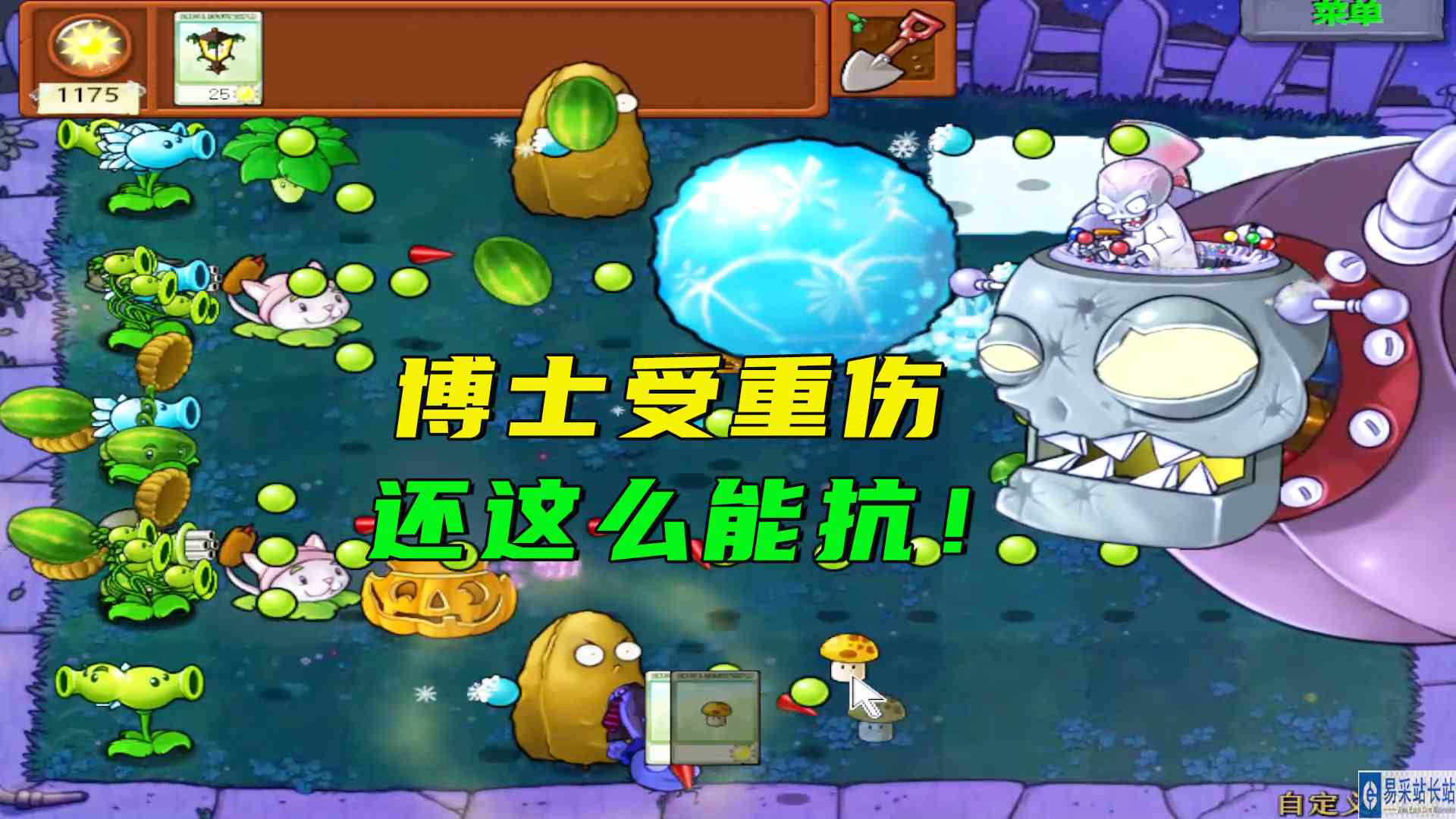 植物大战僵尸：渐变罐子开博士，博士真能抗，一波又也一波干不掉