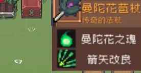 网5