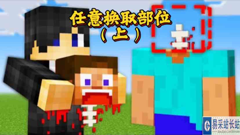 我的世界：可以任意换取部位，那么你最想改变哪里？