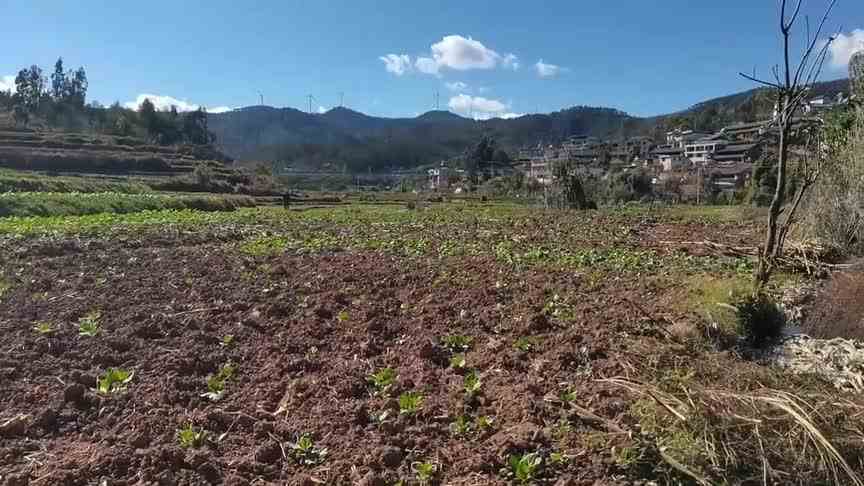 以为又要空军，没想到最后是爆护！