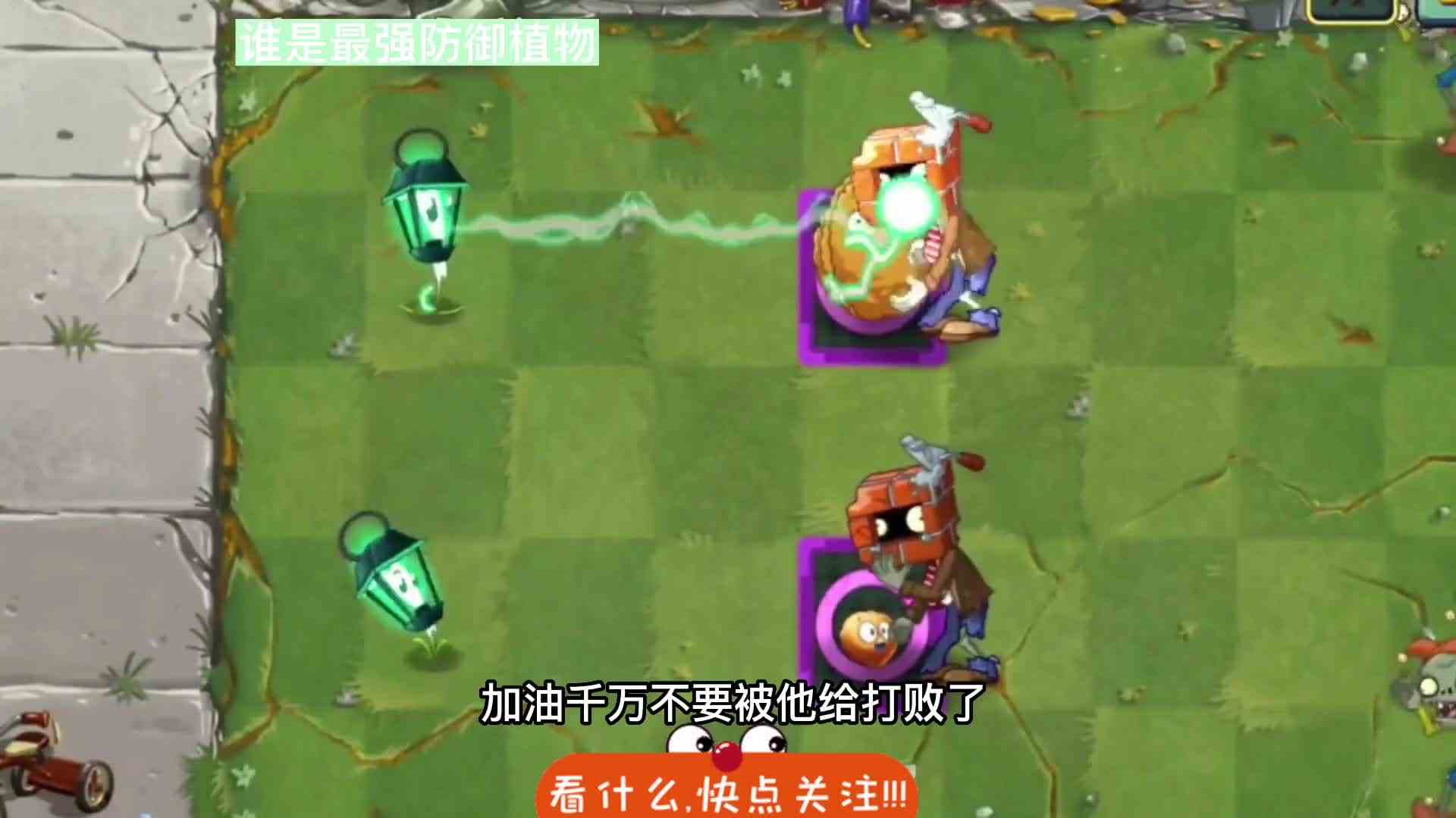 植物大战僵尸最强防御植物淘汰赛，你猜一下谁能坚持到最后？ok