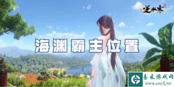 网1