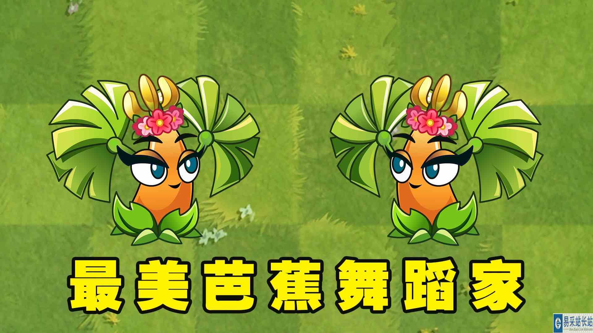 植物大战僵尸2：翩翩起舞的芭蕉舞蹈家，1至5阶有什么魅力？