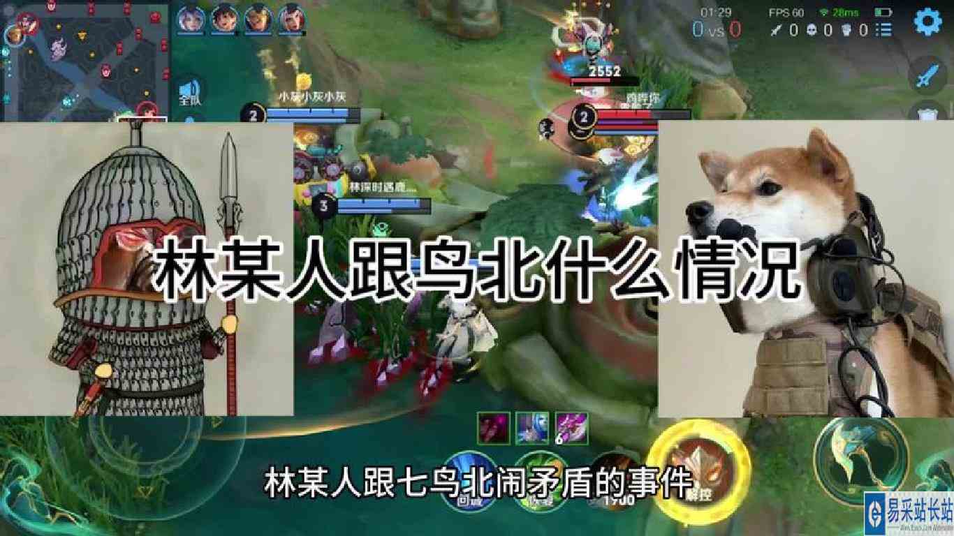 他们俩的具体原因我真的没有办法说，但我可以说一下他们俩的经历