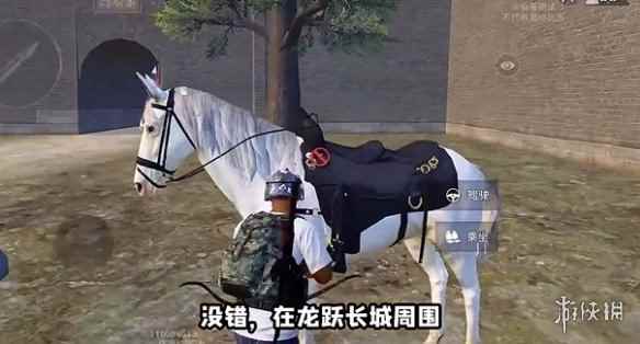 网2